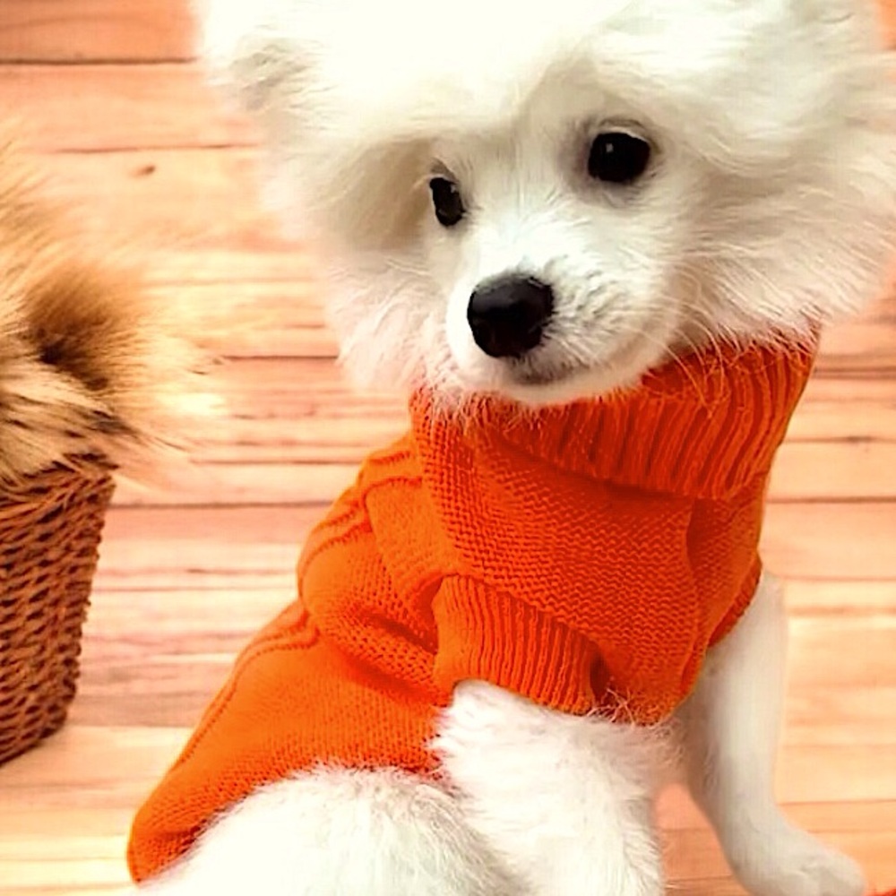 Vibrant Orange Cable Knit Turtleneck Sweater for Small Toy Breed Puppy